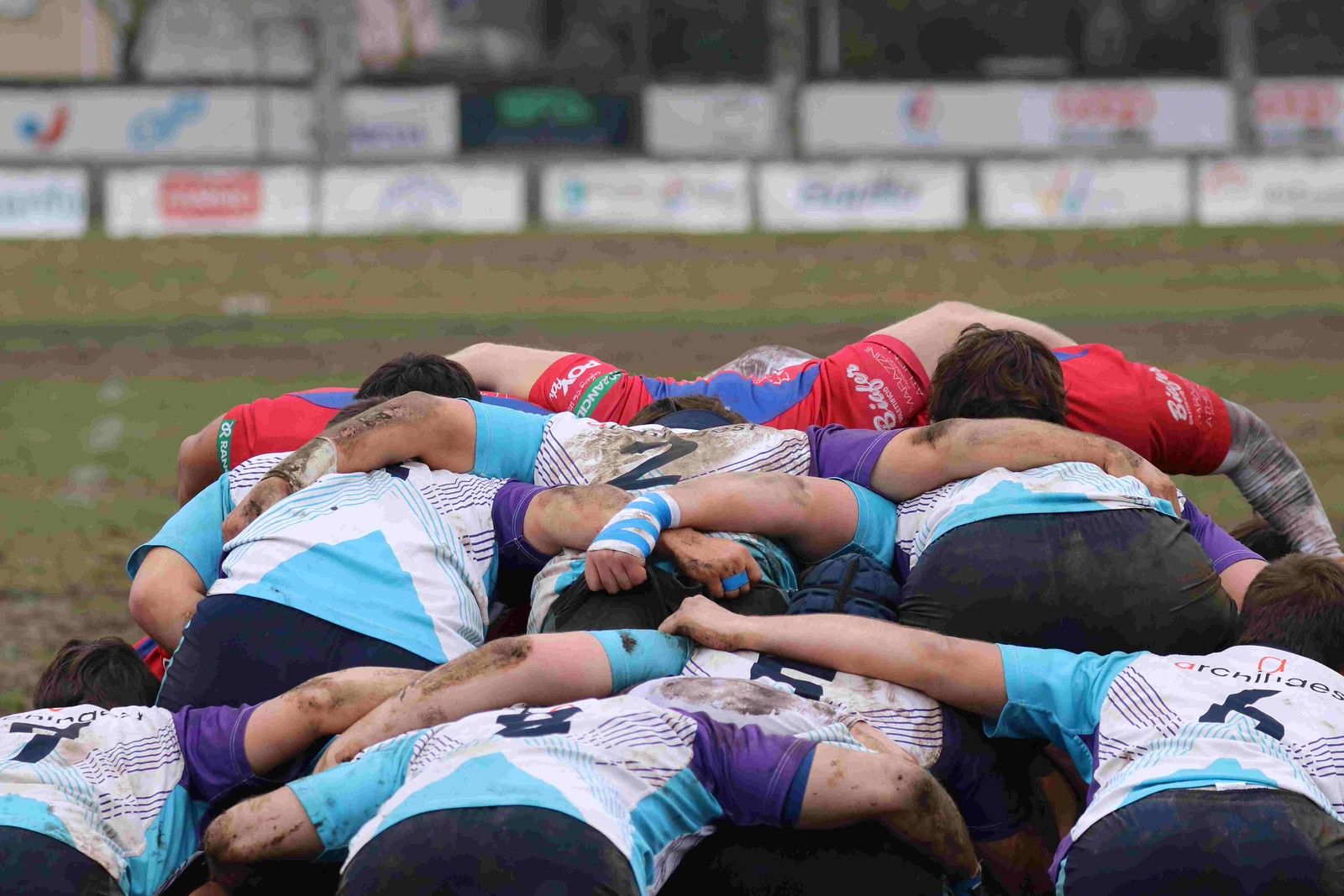 Credits ©ericacastiglioni