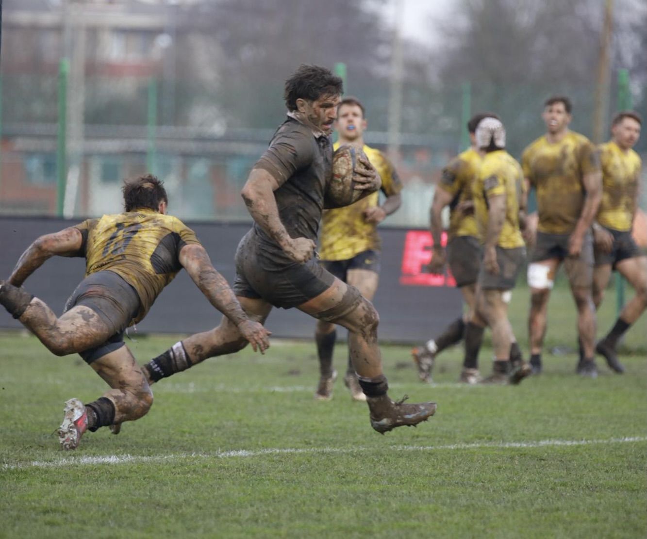 Coppa Italia maschile: Petrarca Padova e Valorugby Emilia in finale