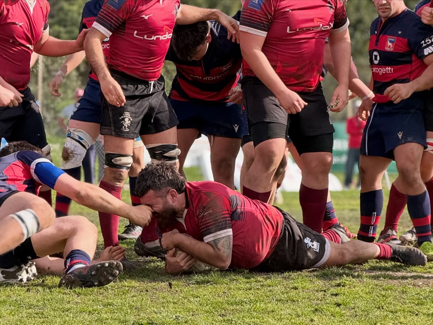 I Lions Amaranto Livorno domenica ospiteranno l’UR Firenze cadetta