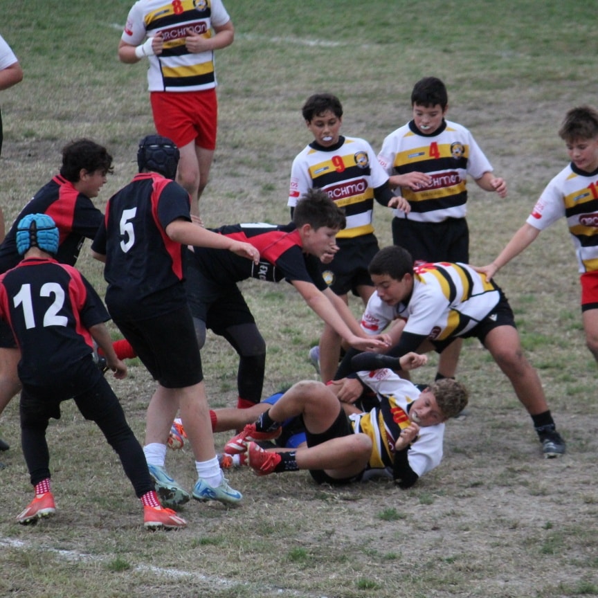FVG: tutto il rugby del fine settimana