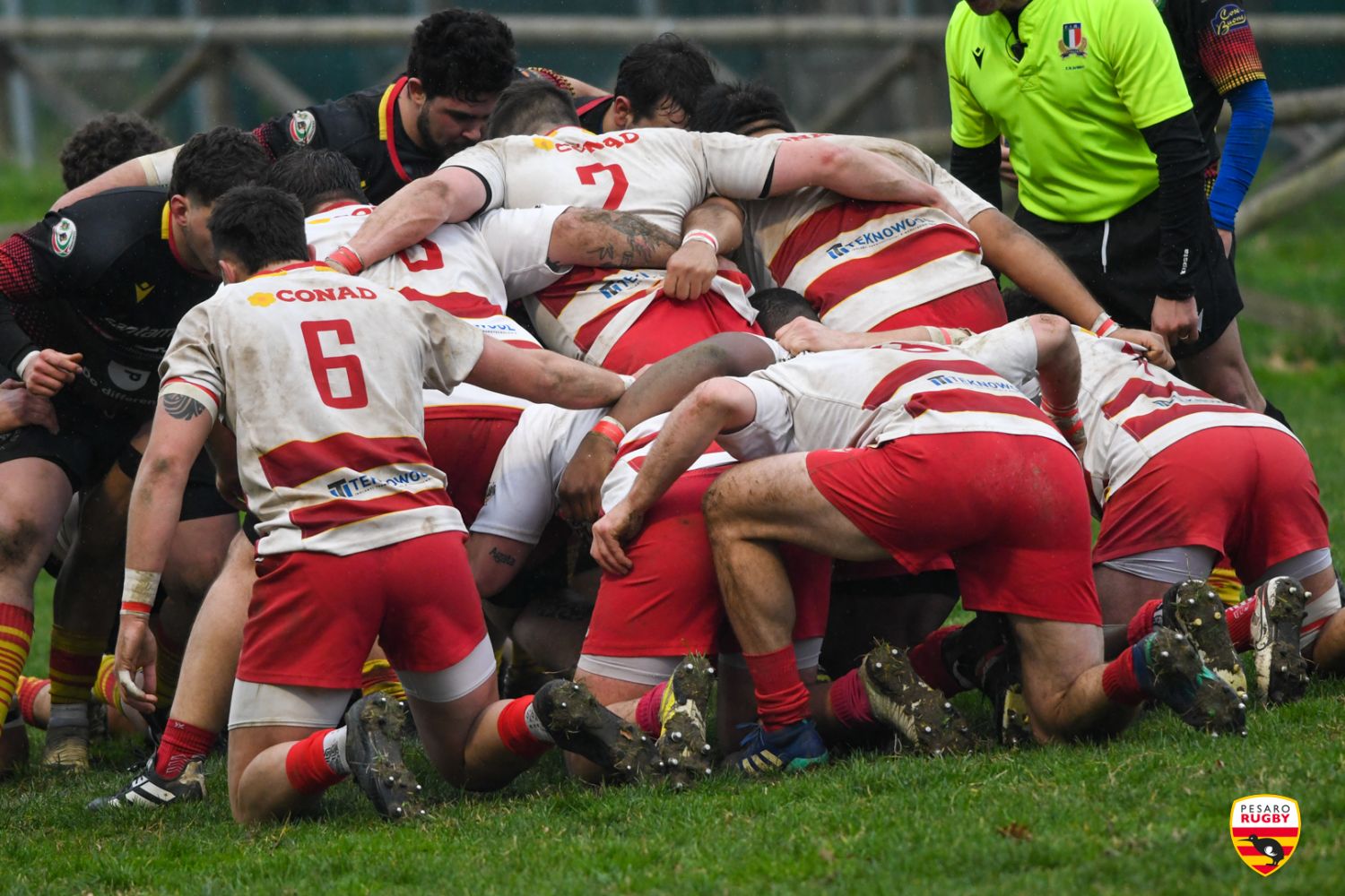 La Fiorini Pesaro Rugby attende Rugby Casale per tornare a sorridere