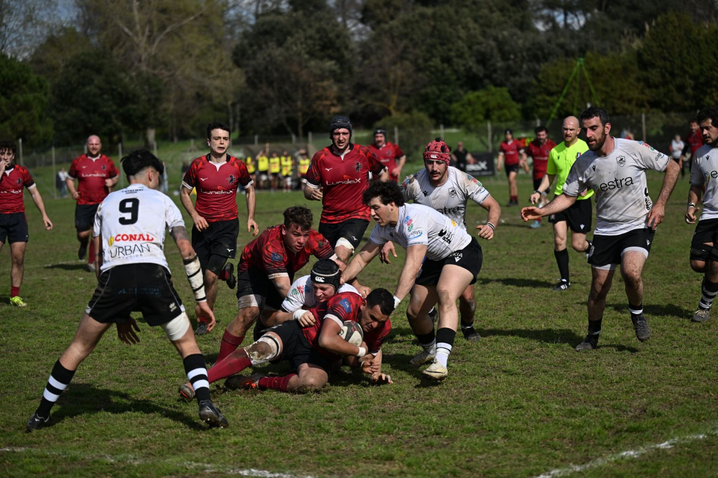 Venerdì 12 amichevole Tirreno Club – Lions Amaranto Livorno. Solo 7 squadre del girone 4 di B potranno ambire ad un posto al sole