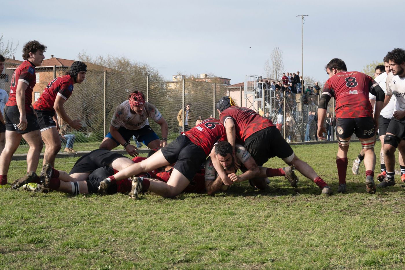 Lions Amaranto Livorno. Il via alla stagione. L’11 settembre la prima amichevole