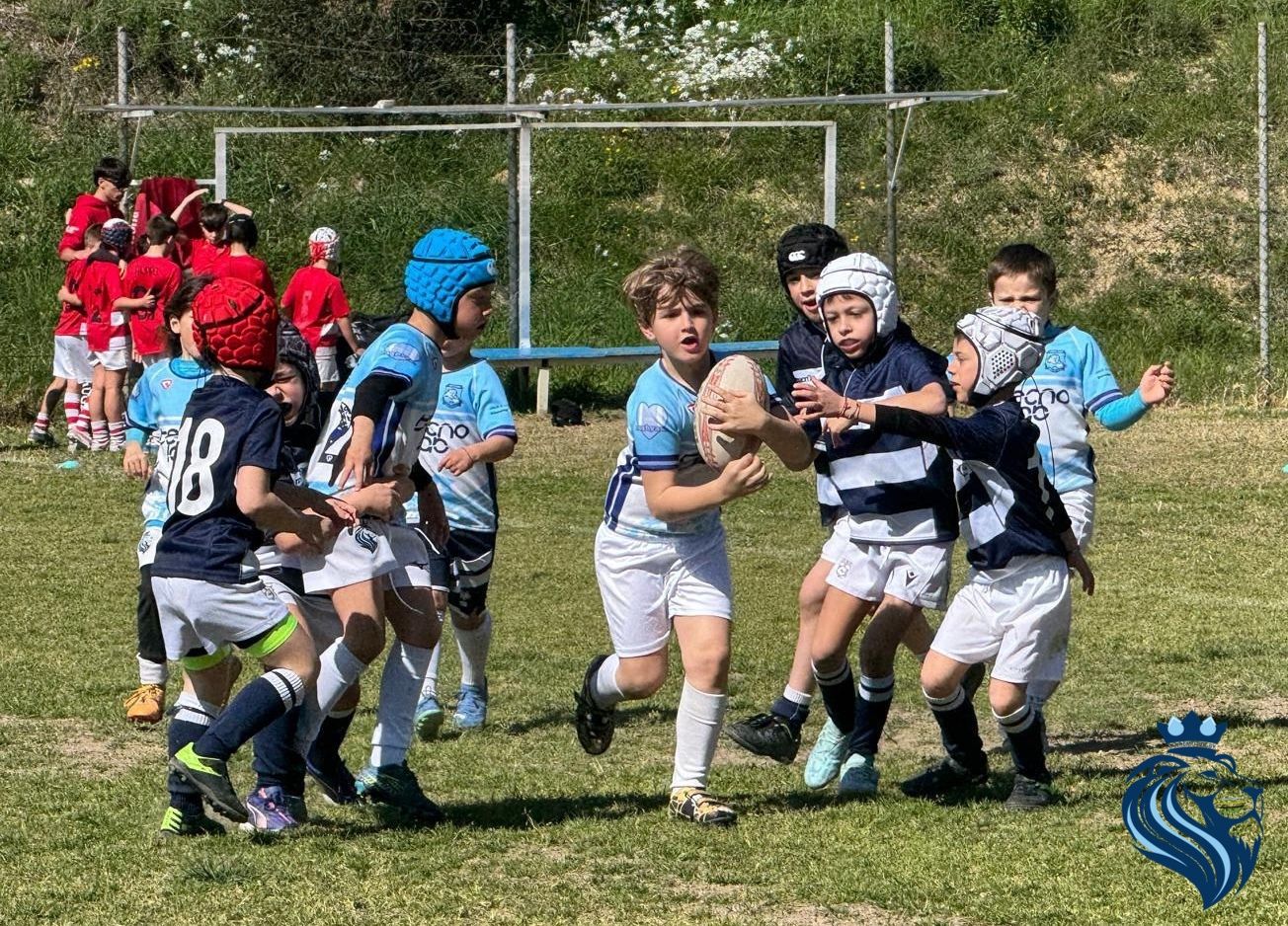 Leoncini biancazzurri protagonisti alla Festa del Rugby di Imperia, Under 14 di scena a Savona