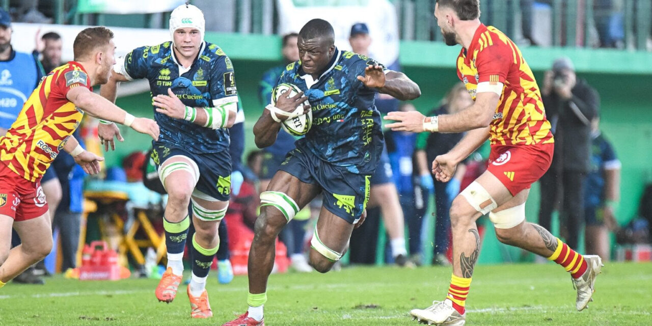 Benetton Treviso–Dragons: a Monigo una sfida chiave di Challenge Cup