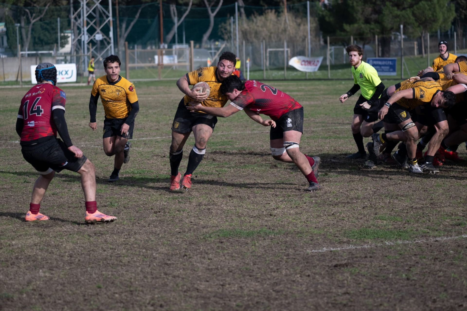 Domenica al Priami di Stagno derby toscano di B Lions Amaranto Livorno – Cavalieri Prato/Sesto cadetti