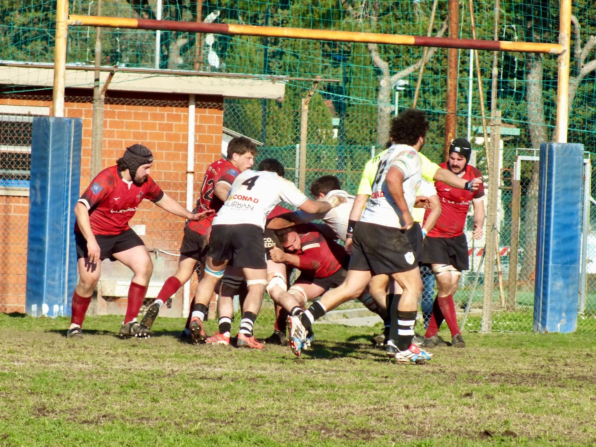 Lions Amaranto superati in casa dai Cavalieri cadetti