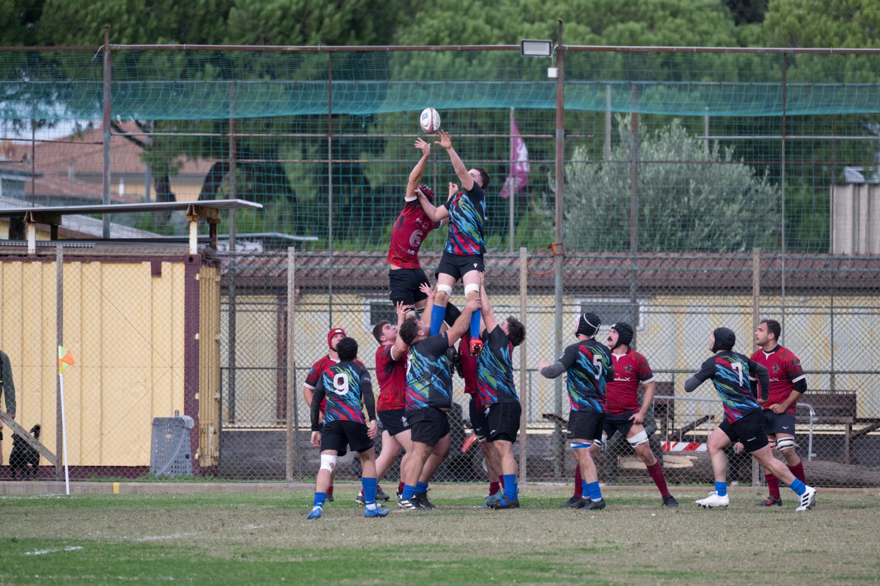 I Lions Amaranto Livorno, domenica alle 13:00 ospiteranno la Roma Olimpic cadetta