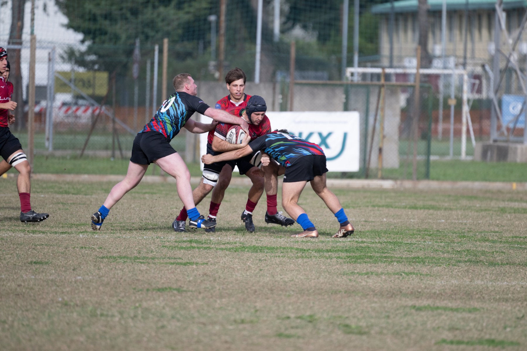 I Lions Amaranto Livorno domenica rendono visita al Gubbio