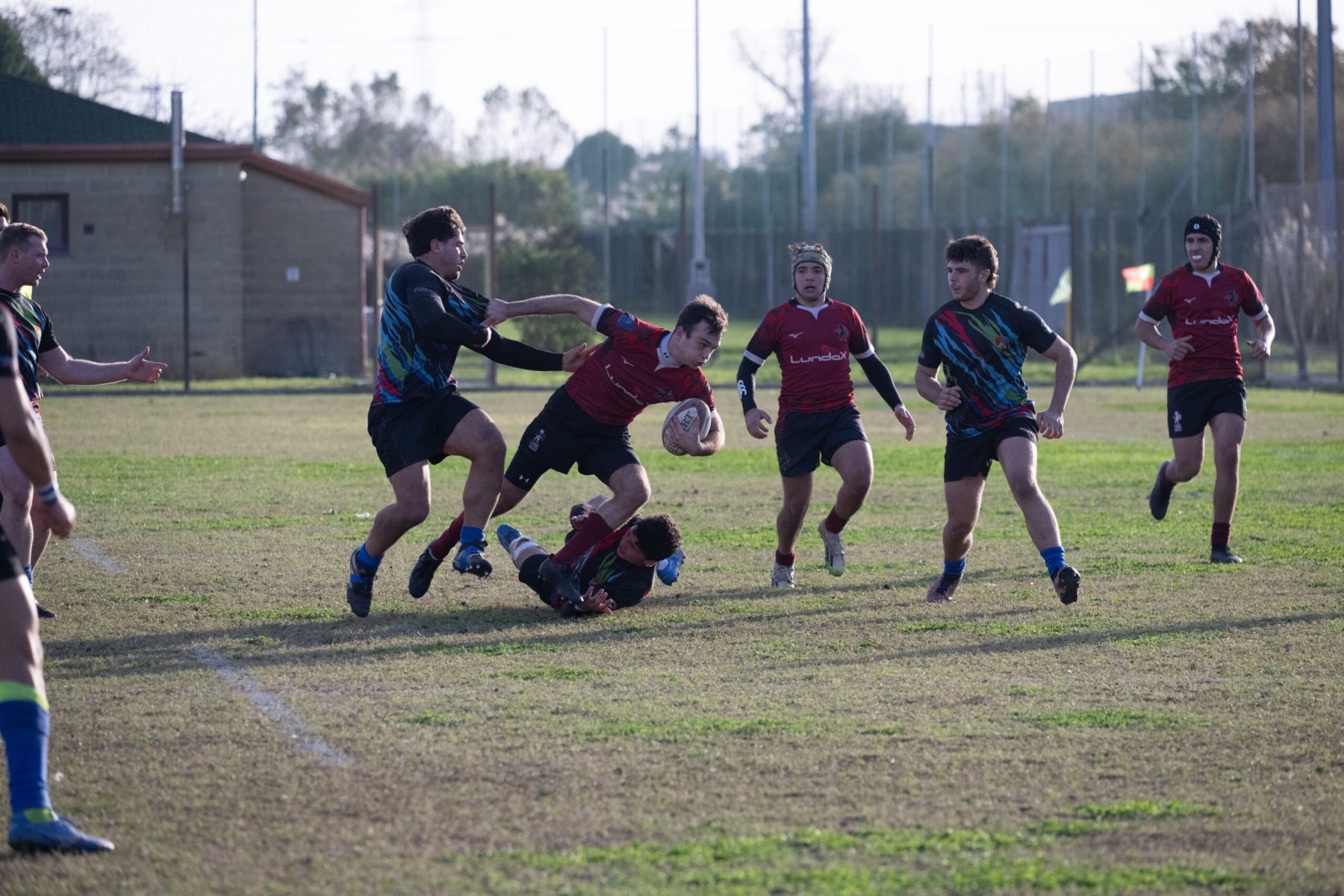 Il punto sui Lions Amaranto Livorno, che con la loro rosa giovane vogliono aprire un nuovo ciclo