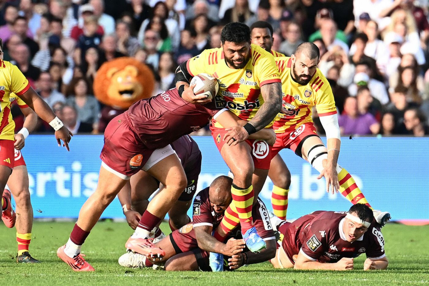 So’otala Fa’aso’o si lega ai Leoni per le prossime due stagioni