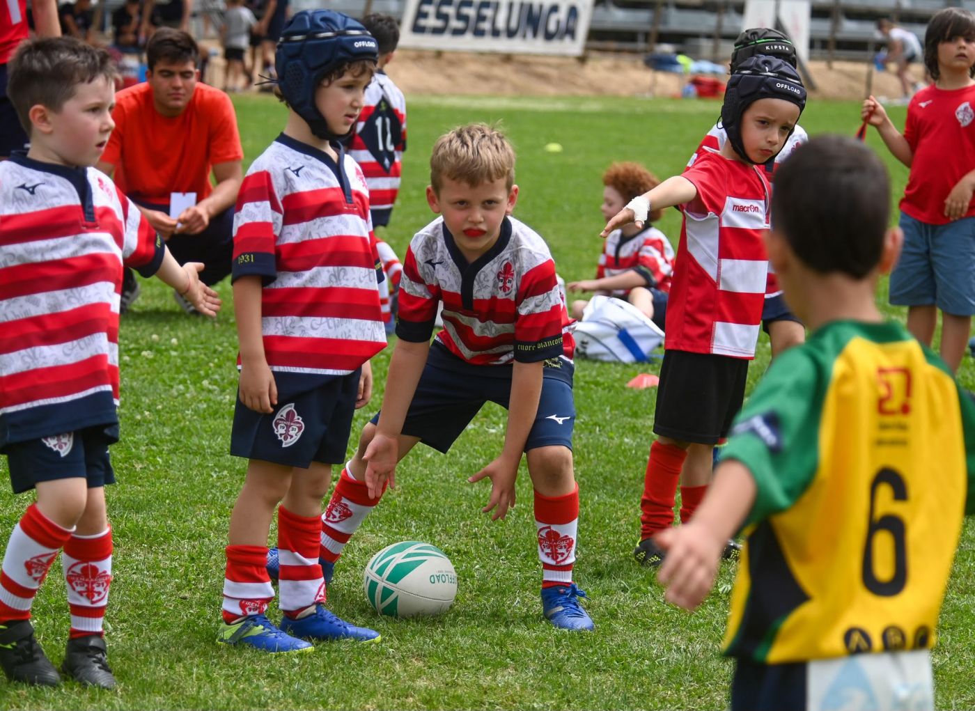 FIRENZE RUGBY 1931 – XVII Torneo Francesco Borelli: attesa per l’edizione 2025